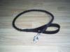 Dog Leads And Collars (India)