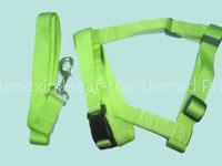 Pet Leashes