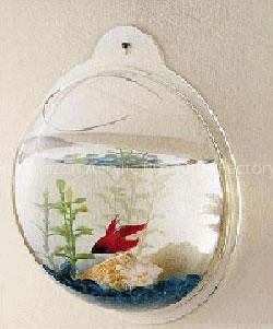 Mini Wall Aquarium