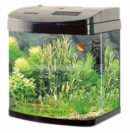 Small Ecological Aquarium