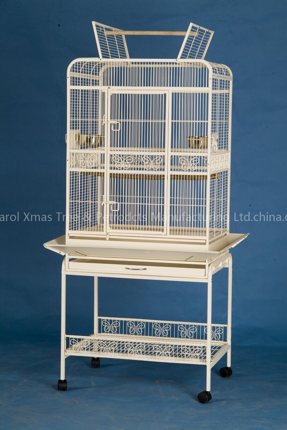 Parrot Cage