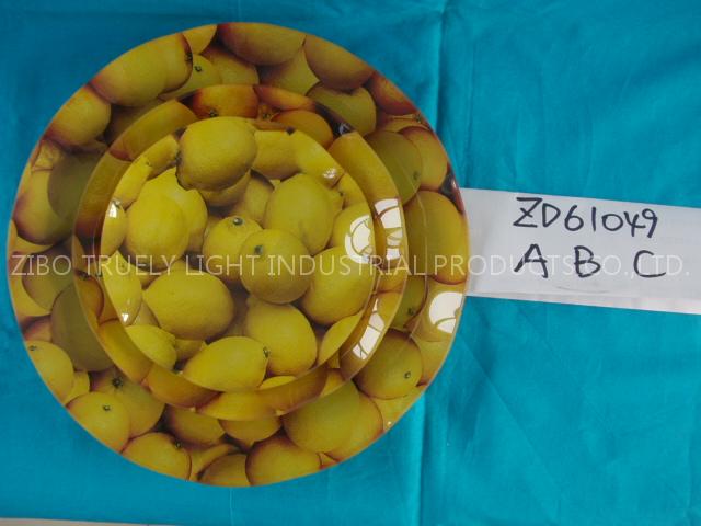 ZD61049 Glass Plate