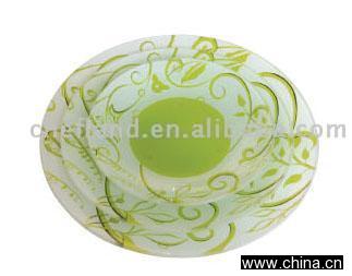 Glass Plate