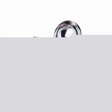 Stainless Steel Bowl