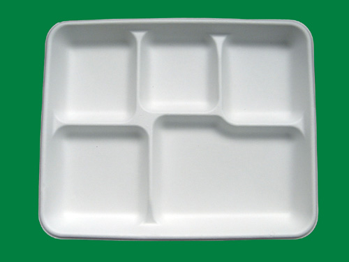 disposable tableware,biodegradable tableware,sugarcane tray,disposable tray,biodegradable tray,food package tray