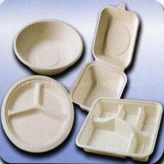biodegradable sugarcane tableware