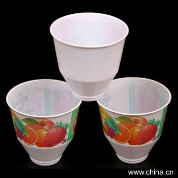 Airline Cup