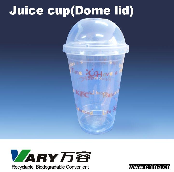 Disposable Cup (Dome Lid)