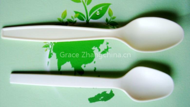 Plastic Spoon