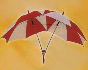 Taiwan Lover Umbrella