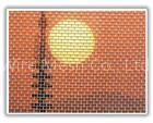 Plastic Insect Screen
