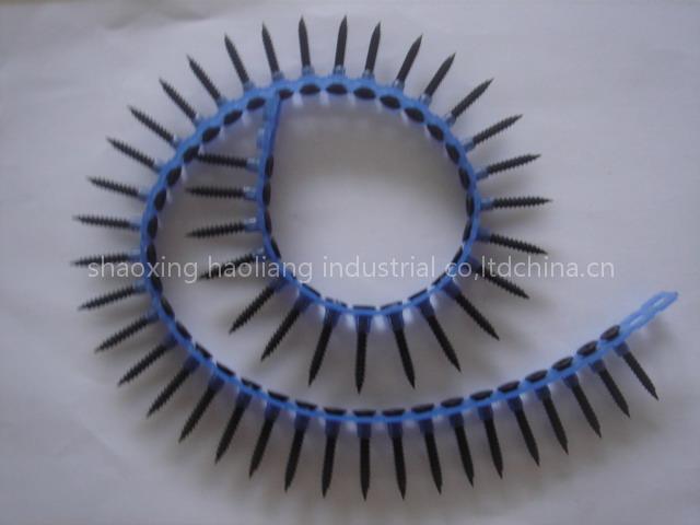 collated screws