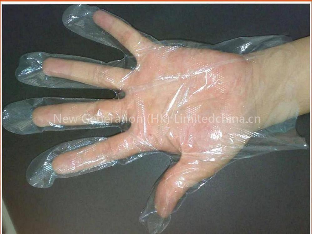 food glove