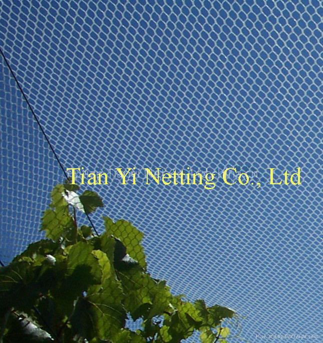 Anti Bird Net