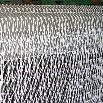 Safety Net