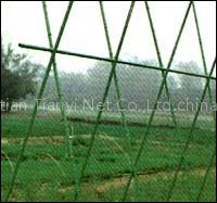 Planting Net