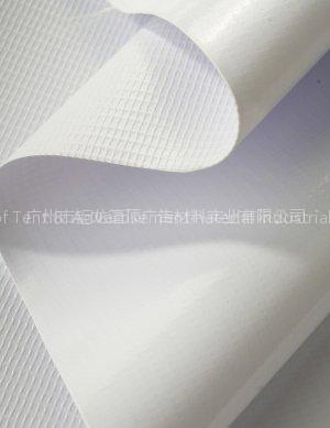 Plastic Mesh (008)