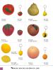 Pu Stress Items ( Fruit And Vegetable) (China (Mainland))