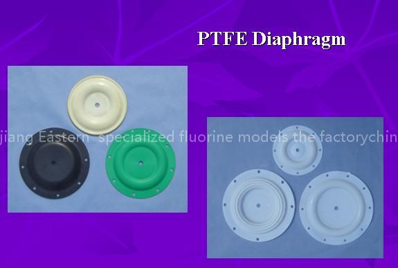 PTFE Diaphragm