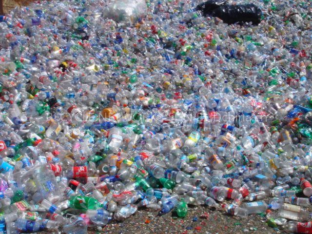 Pet Bottle Scrap (Bales)