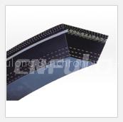 Raw Edge V-Belt