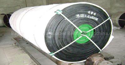 large format conveyor belt 100mm-3000mm