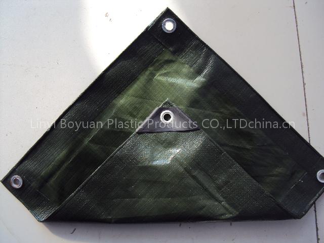double green PE tarpaulin