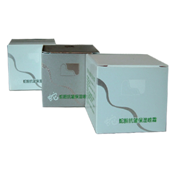 Cosmetic Packaging