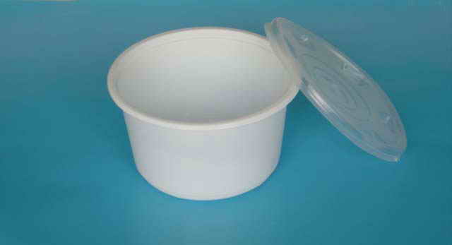 Plastic Food Container