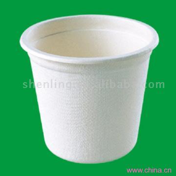 Biodegradable Paper Food Packaging