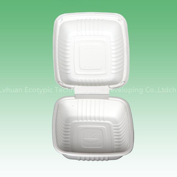 Disposable Lunch Box