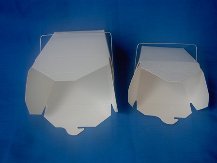 Malaysia Noodle Take Away Box