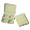 Disposable Food Container (Singapore)
