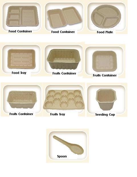 Malaysia Biodegradable Food Container