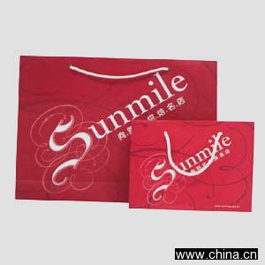 Paper Gift Bag