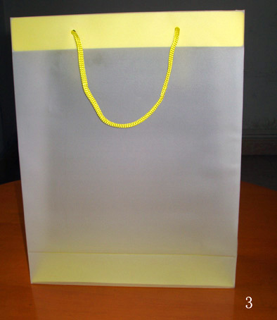 China (Mainland) Transparent PP Bag