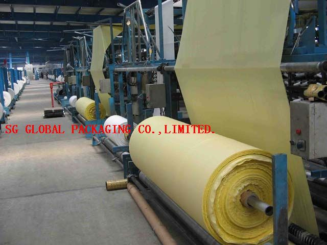 PP Woven Fabric