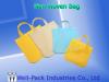 Non Woven Bag (Taiwan)