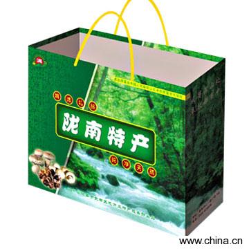 Paper Bag
