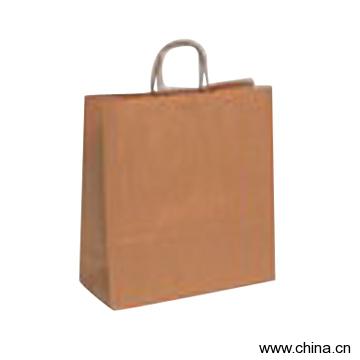 Paper Shopping Bag