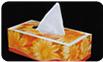 Bangladesh Facial Tissue