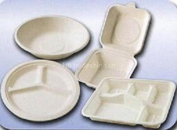 Disposable biodegradable sugarcaen pulp bowl with lid