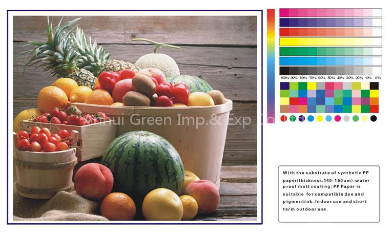 PP Matte Paper (Waterproof)