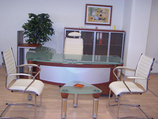 Turkey Alfa Executive Table