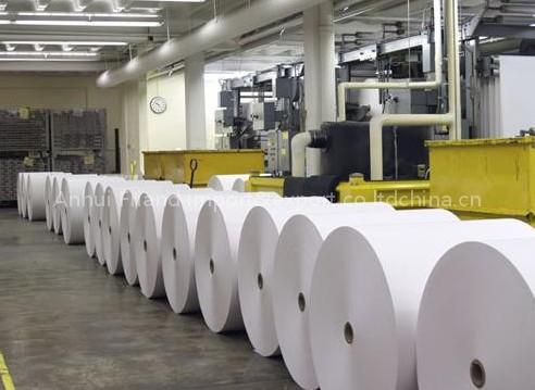 wood free offset printing /copying paper