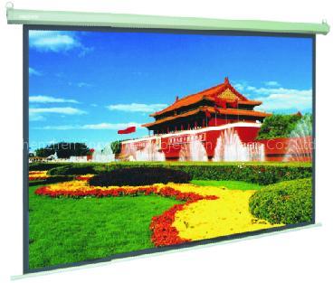 Electric Screen