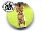 Tin badge
