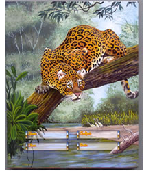 Belize Exercise Books
