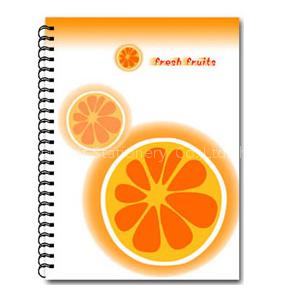 spiral notebook,notebook,diary