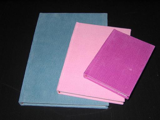 Hong Kong Notebook